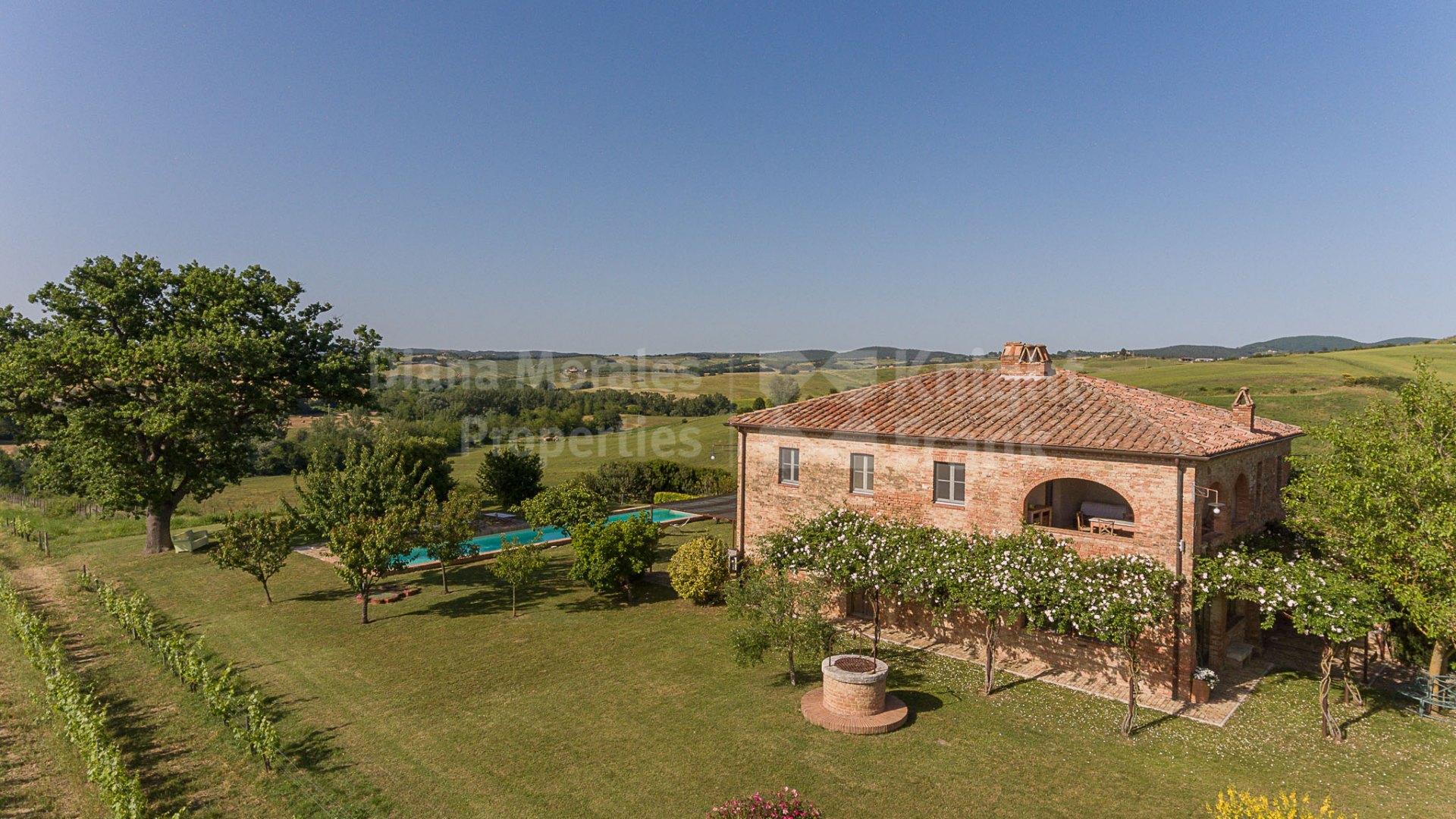 Estate à vendre à Montalcino