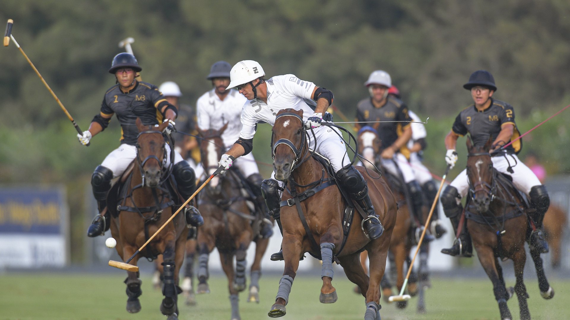 polo tournament sotogrande
