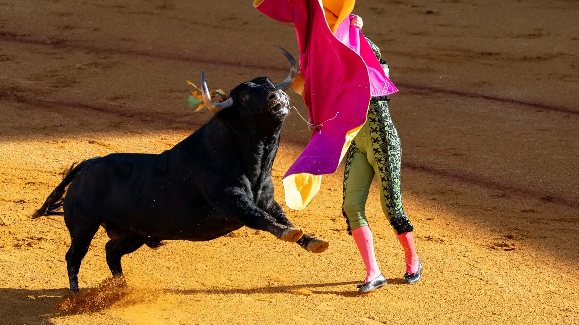 Puerto Banús Bullring