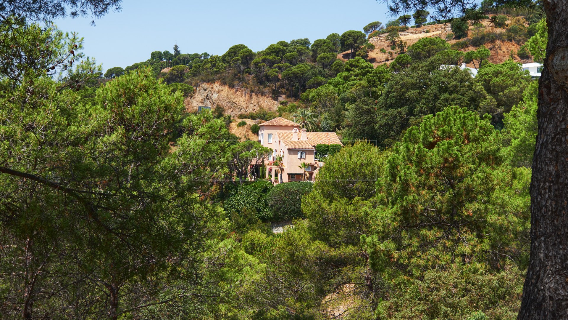 Villa for sale in El Madroñal, Benahavis