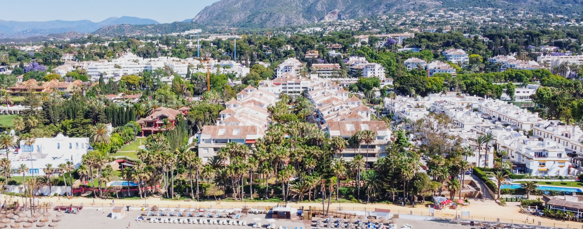 Las Cañas Beach, Planta baja en alquiler en La Milla de Oro
