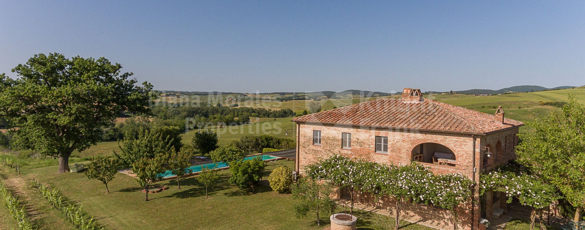 Estate à vendre à Montalcino