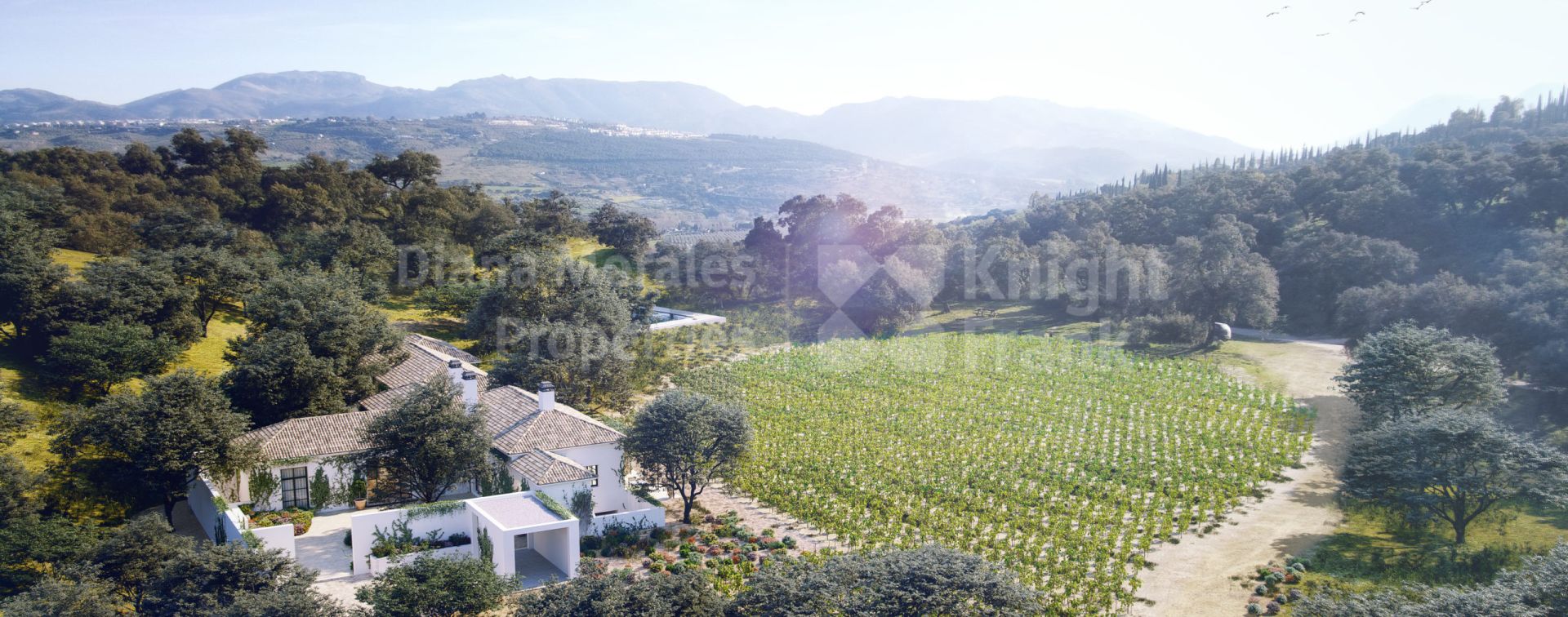 Ronda, The Wine and Country Club