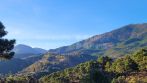 Exceptional Plot in La Zagaleta