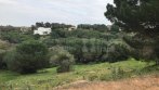 Plot with licence for sale in Sotogrande