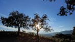 Building Land for Sale in the Exclusive Estate of La Zagaleta