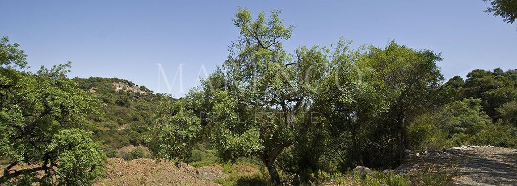 Parcela  en La Zagaleta, Benahavis