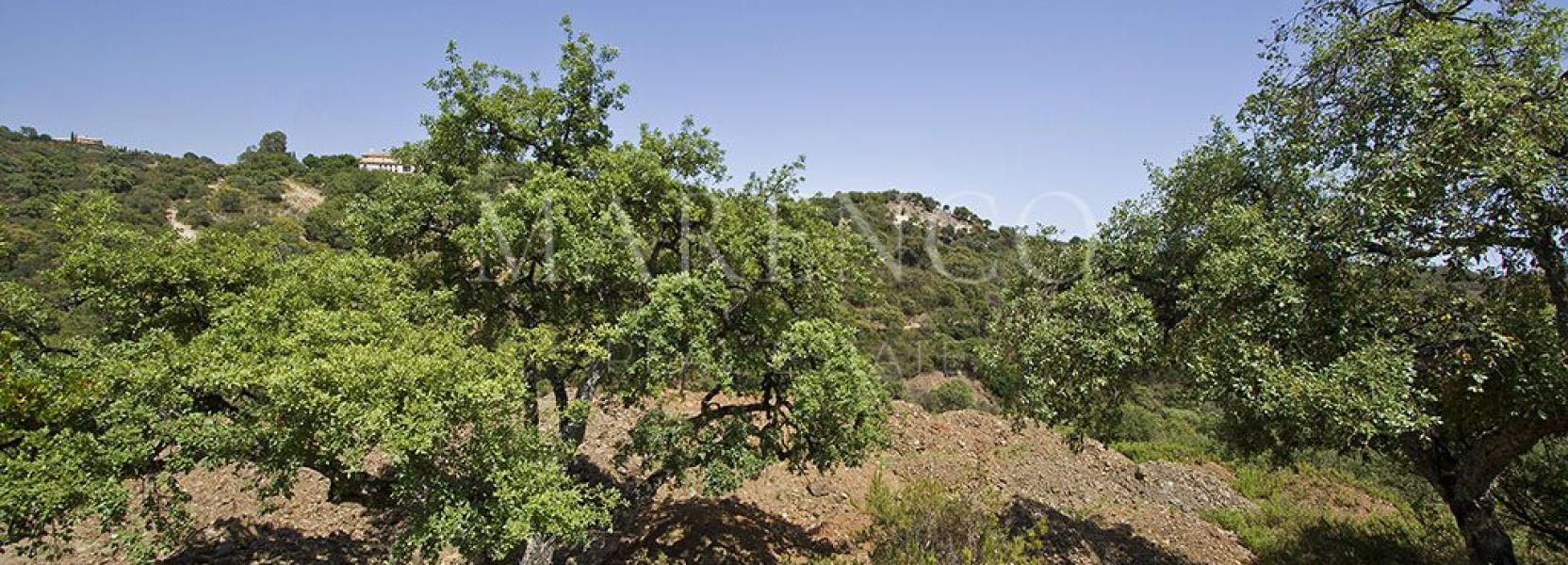 Parcela  en La Zagaleta, Benahavis