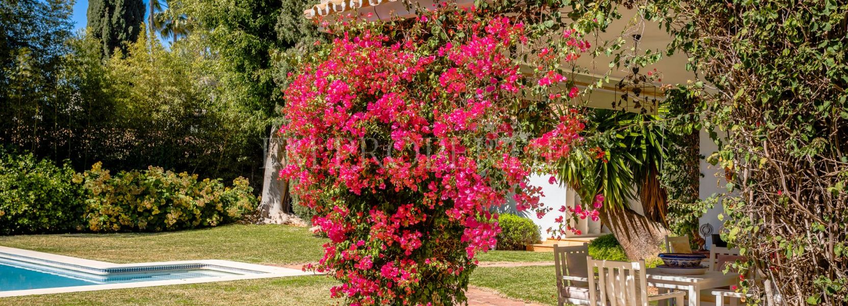 Villa  à Guadalmina Baja, San Pedro de Alcantara