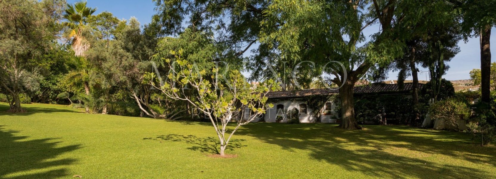 Villa in Benahavis