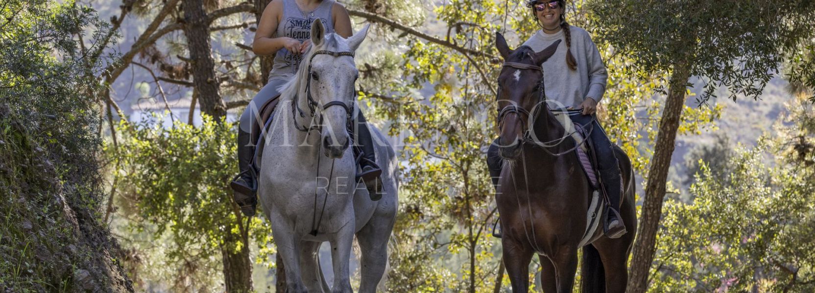 Parcela  en Benahavis