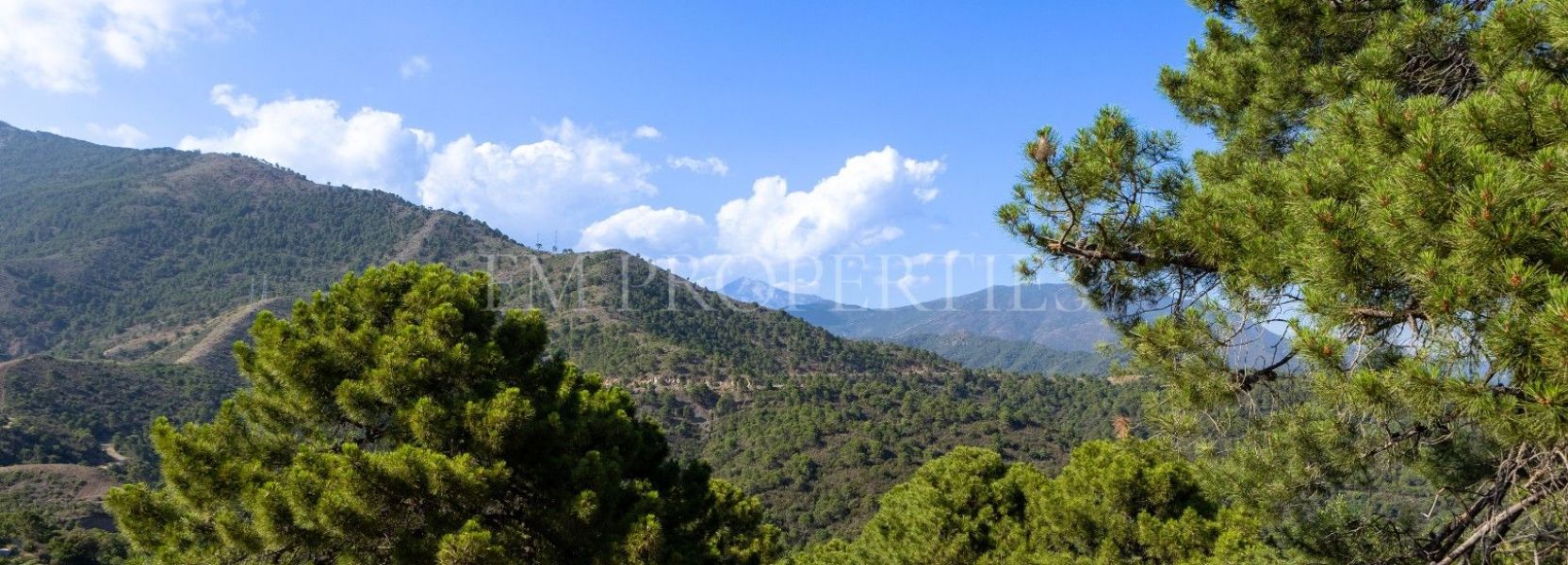 Plot  in La Zagaleta, Benahavis
