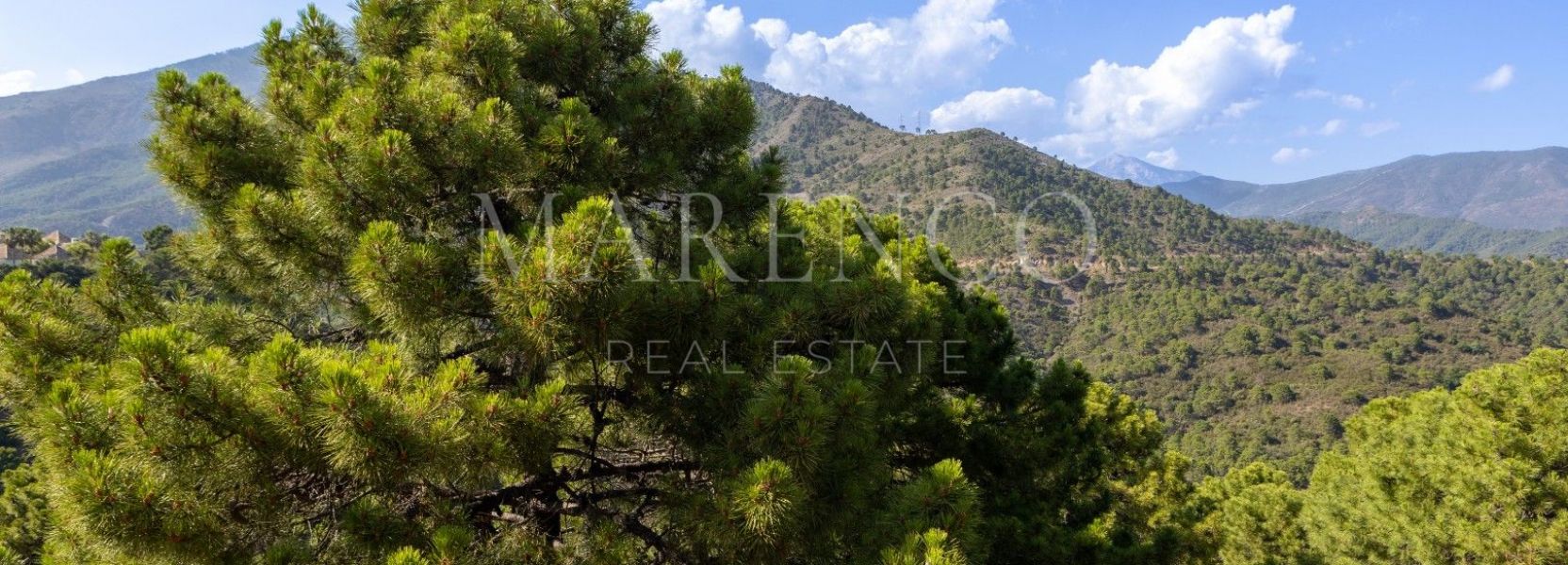 Parcela  en La Zagaleta, Benahavis