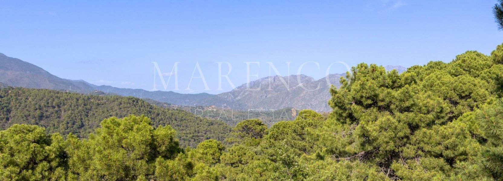 Parcela  en La Zagaleta, Benahavis