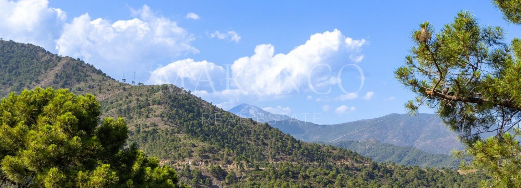 Parcela  en La Zagaleta, Benahavis