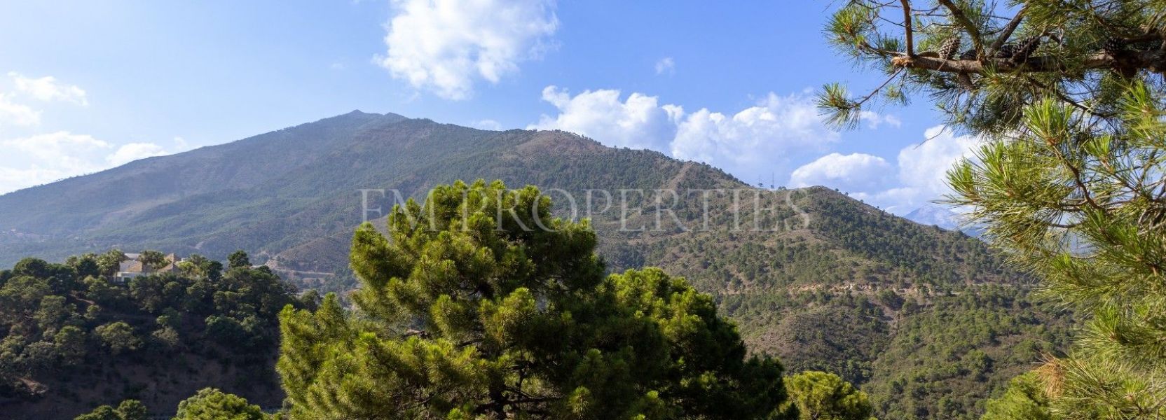 Plot  in La Zagaleta, Benahavis