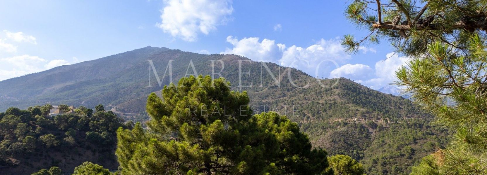 Parcela  en La Zagaleta, Benahavis