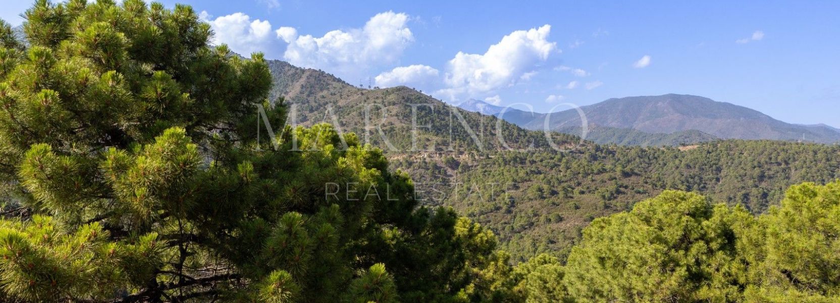 Parcela  en La Zagaleta, Benahavis