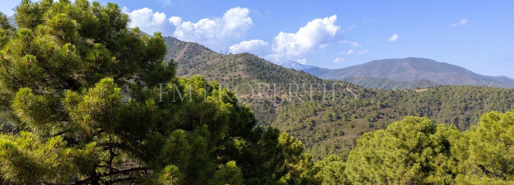 Plot  in La Zagaleta, Benahavis