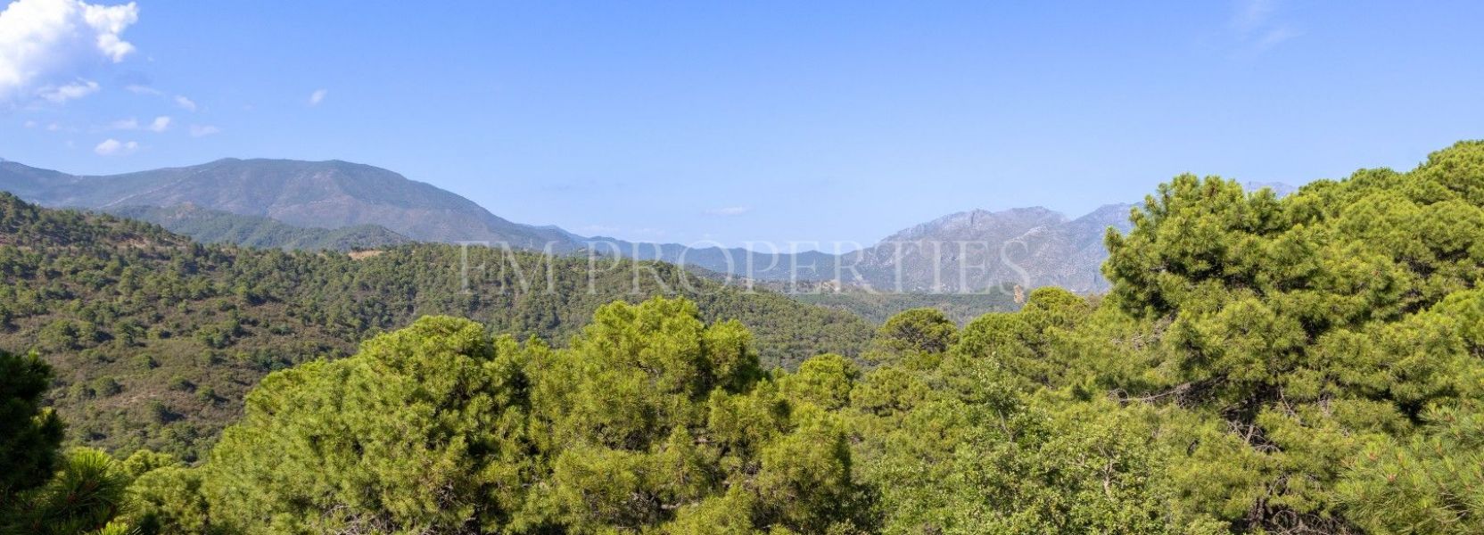 Plot  in La Zagaleta, Benahavis