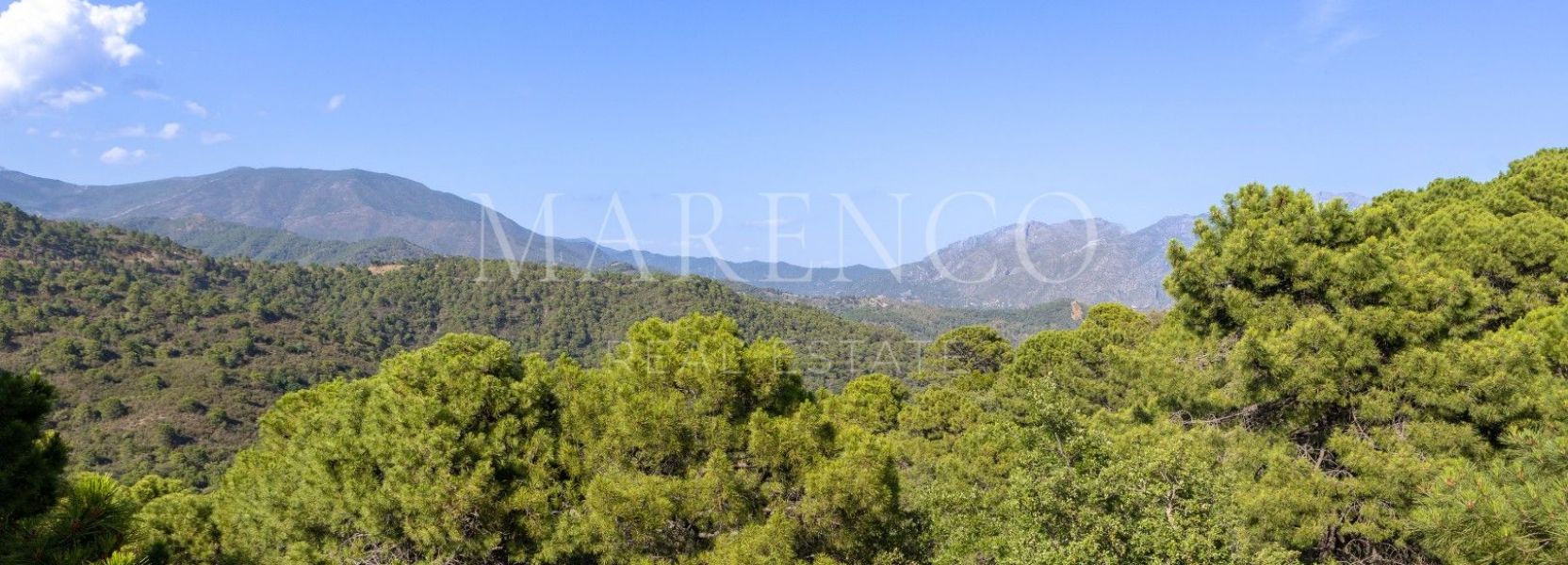 Parcela  en La Zagaleta, Benahavis