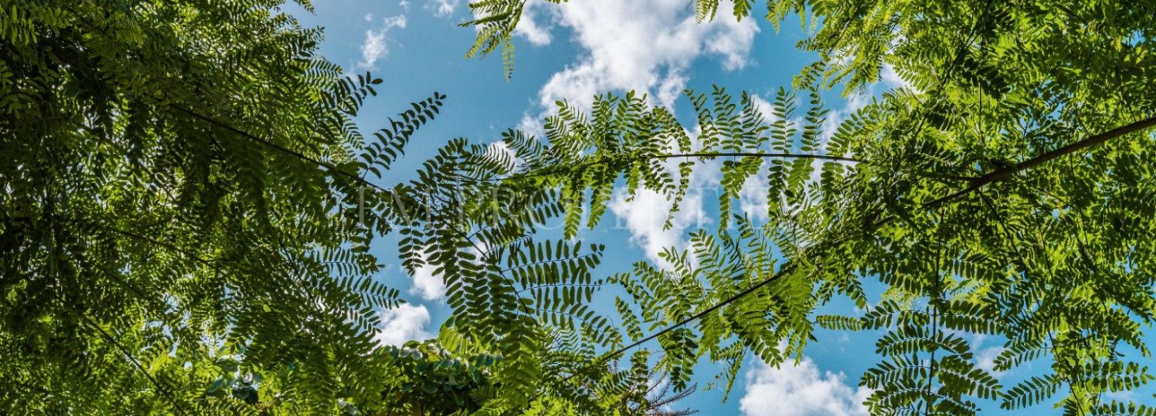 Duplex Penthouse  in Lomas del Rey, Marbella Golden Mile, Marbella