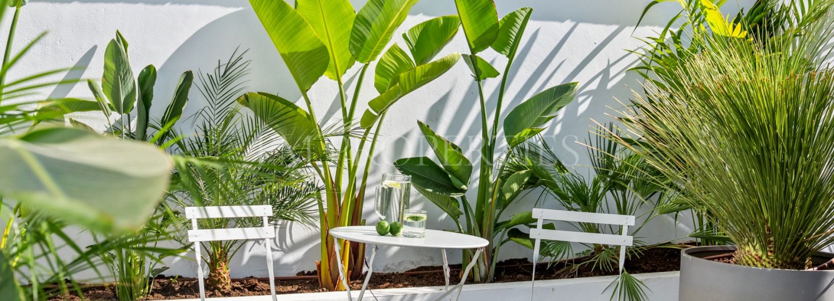 Maison de Ville  à Nueva Andalucia, Marbella