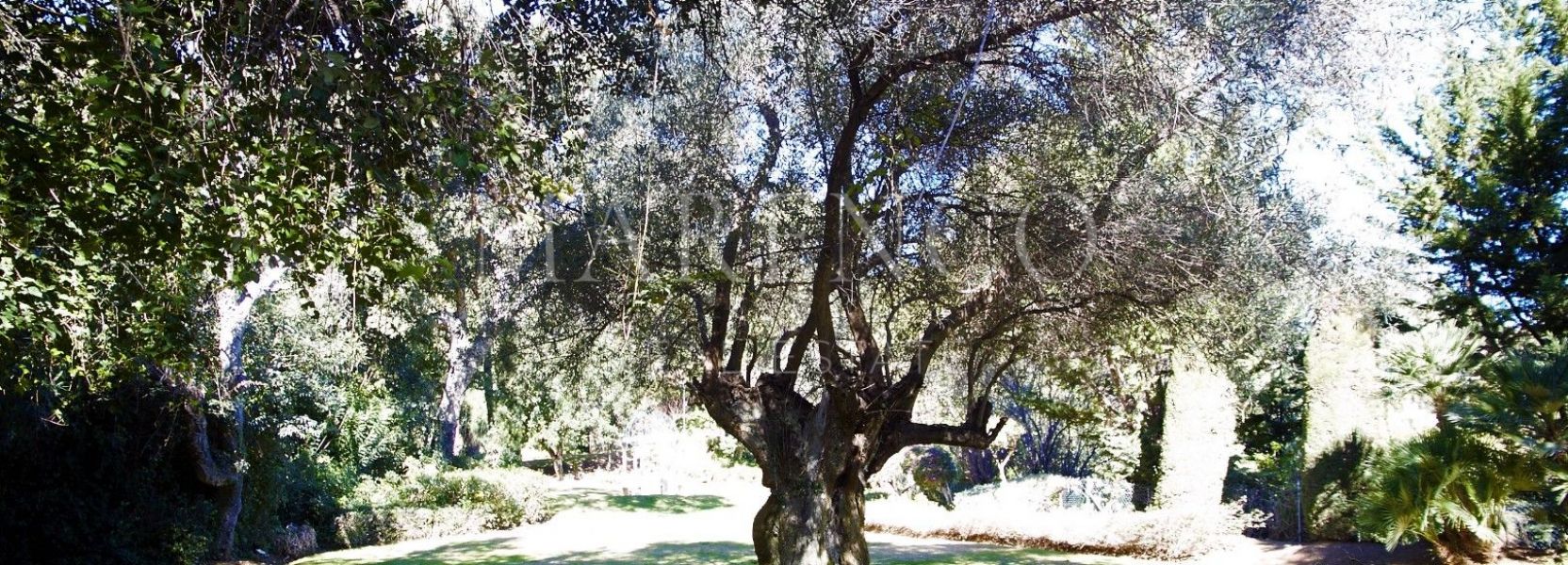 Villa  à La Zagaleta, Benahavis