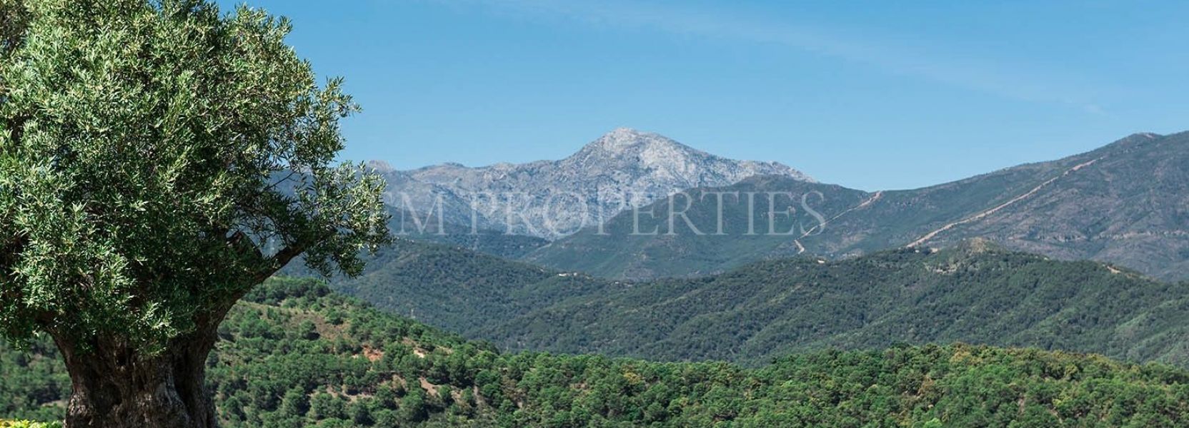 Villa  à La Zagaleta, Benahavis