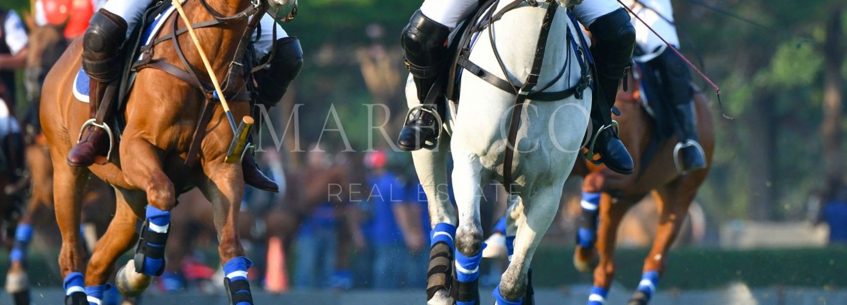 Penthouse  in Bahia de las Rocas, Manilva