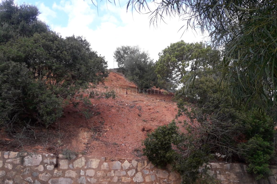 Terrain constructible polyvalent à Reserva de Marbella