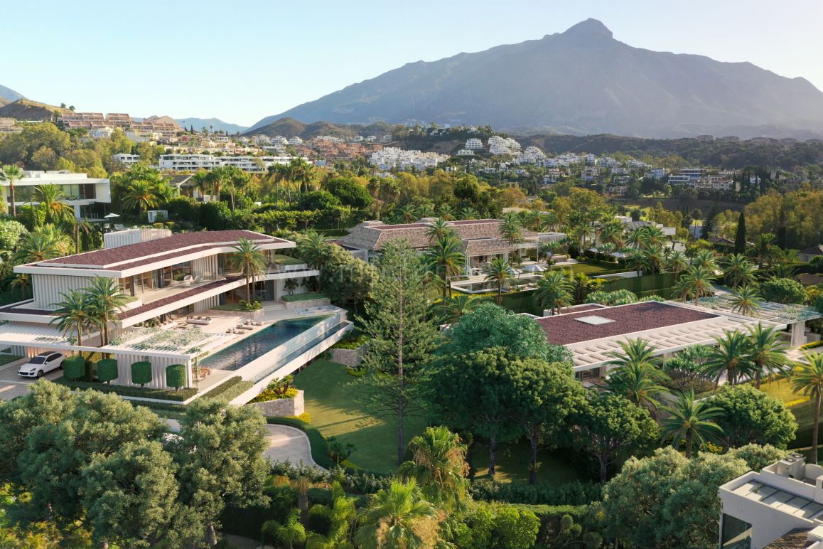 Luxury Project in Prime La Cerquilla Location