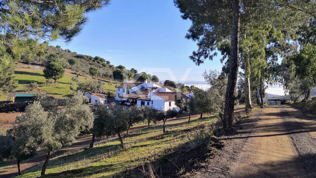 Единый участок площадью 230 га с оливками и охотничьими угодьями в Кордове