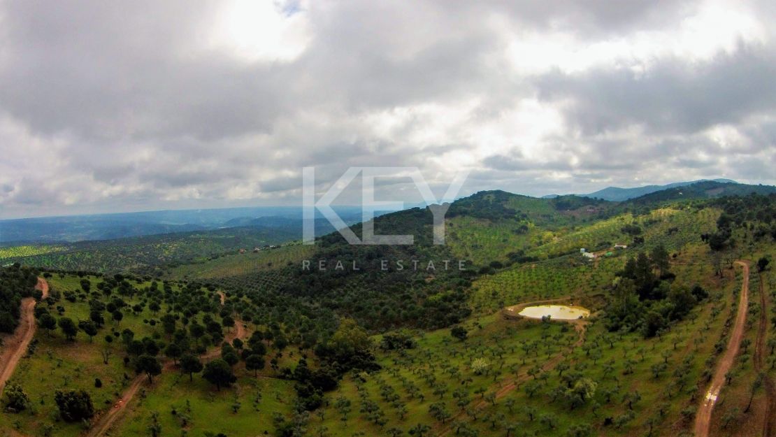 Единый участок площадью 230 га с оливками и охотничьими угодьями в Кордове