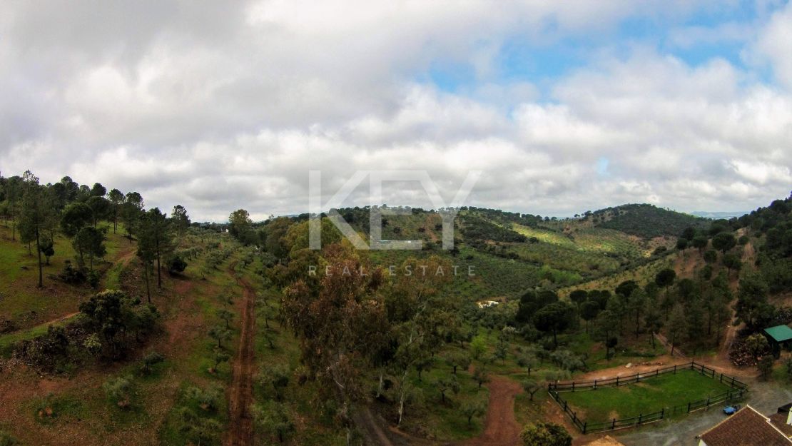 Единый участок площадью 230 га с оливками и охотничьими угодьями в Кордове