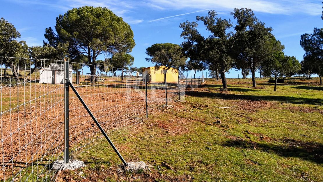 Единый участок площадью 230 га с оливками и охотничьими угодьями в Кордове