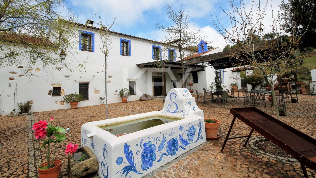 Единый участок площадью 230 га с оливками и охотничьими угодьями в Кордове