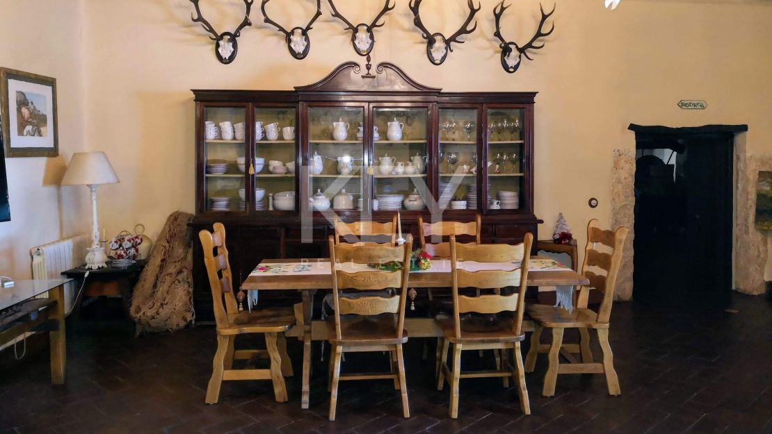 Единый участок площадью 230 га с оливками и охотничьими угодьями в Кордове