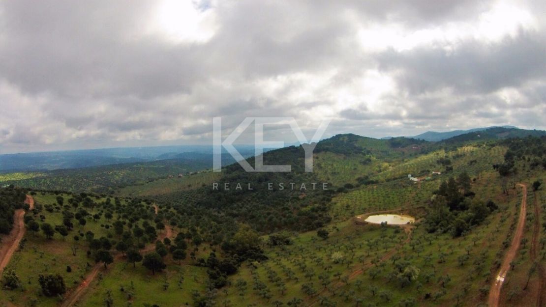 Единый участок площадью 230 га с оливками и охотничьими угодьями в Кордове