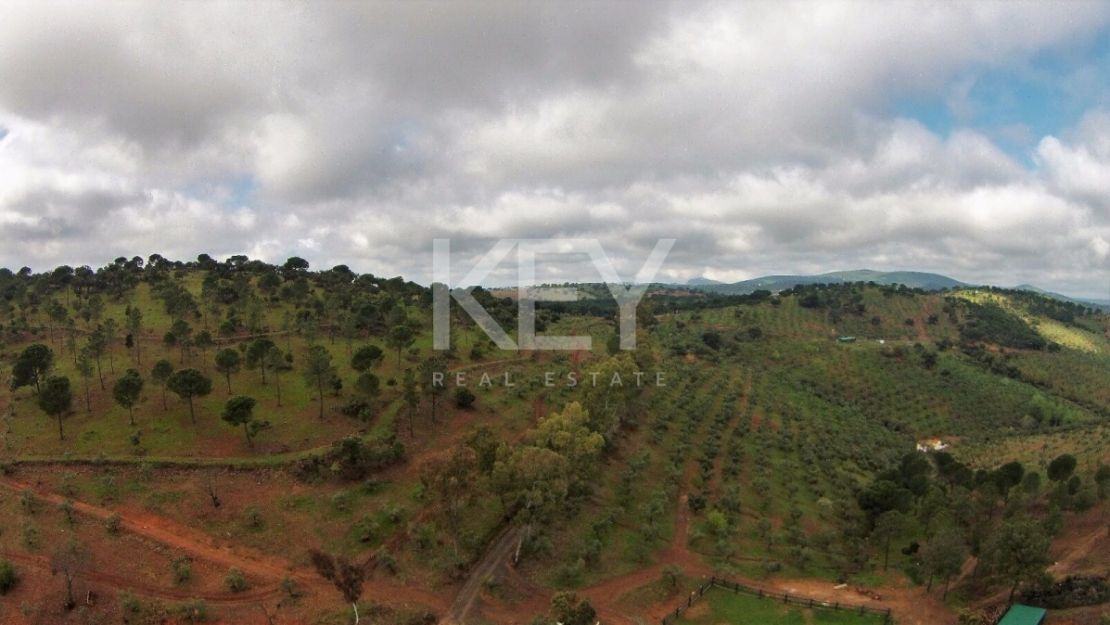 Единый участок площадью 230 га с оливками и охотничьими угодьями в Кордове