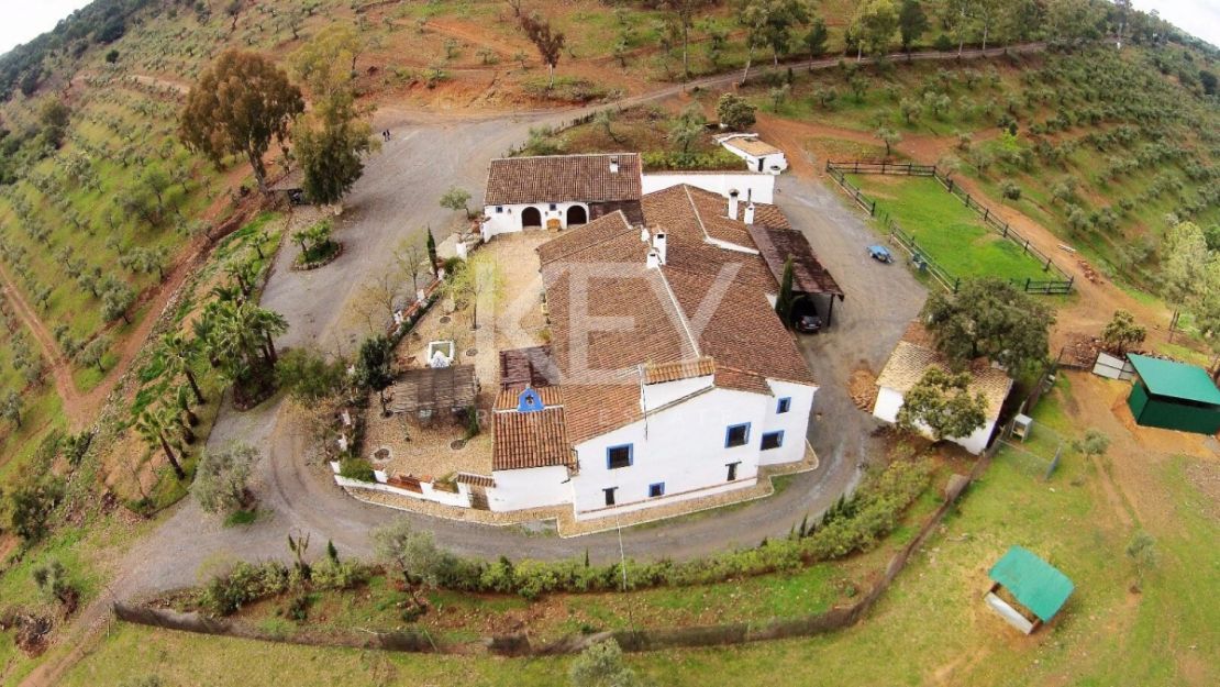 Единый участок площадью 230 га с оливками и охотничьими угодьями в Кордове