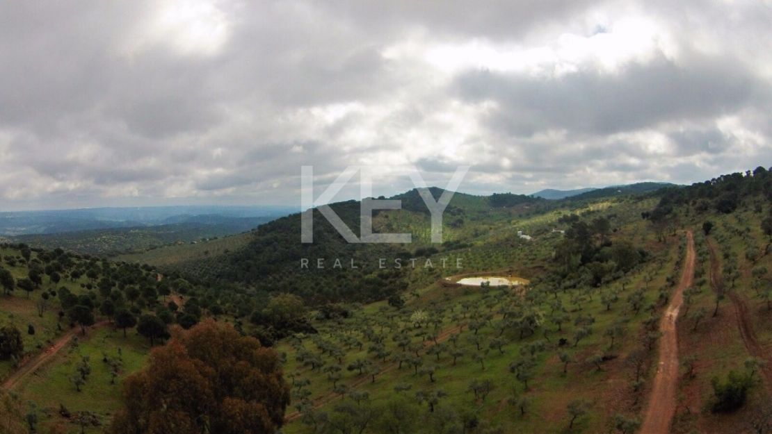 Единый участок площадью 230 га с оливками и охотничьими угодьями в Кордове