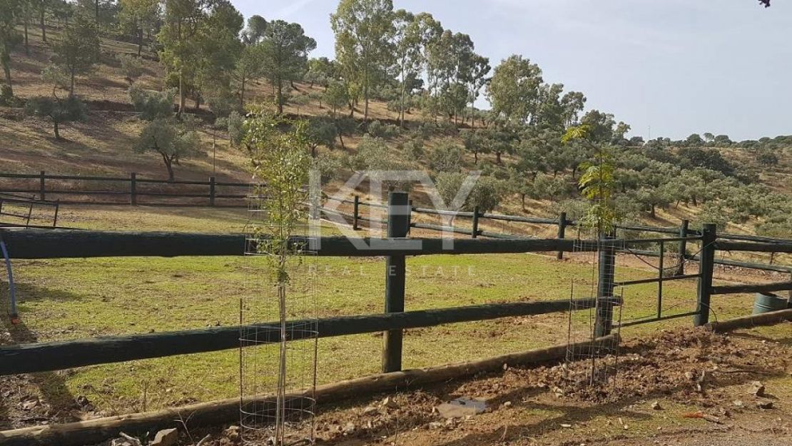 Единый участок площадью 230 га с оливками и охотничьими угодьями в Кордове