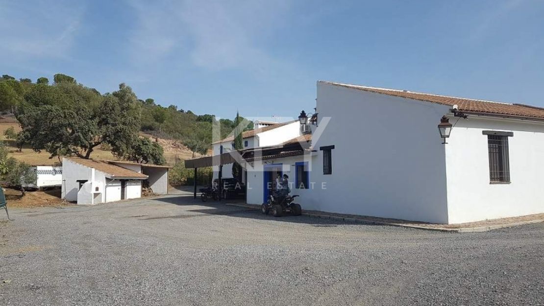 Единый участок площадью 230 га с оливками и охотничьими угодьями в Кордове