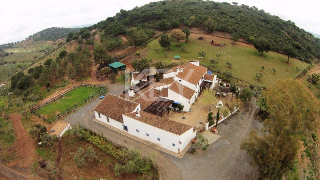 Единый участок площадью 230 га с оливками и охотничьими угодьями в Кордове