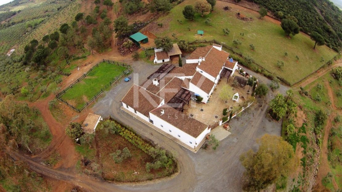 Единый участок площадью 230 га с оливками и охотничьими угодьями в Кордове