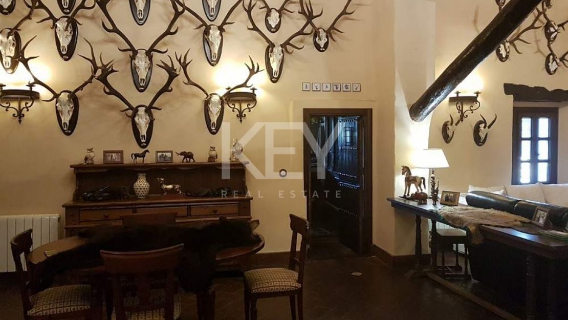 Единый участок площадью 230 га с оливками и охотничьими угодьями в Кордове