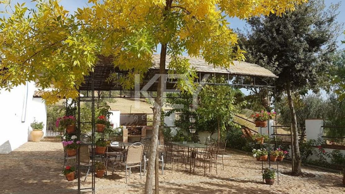 Единый участок площадью 230 га с оливками и охотничьими угодьями в Кордове