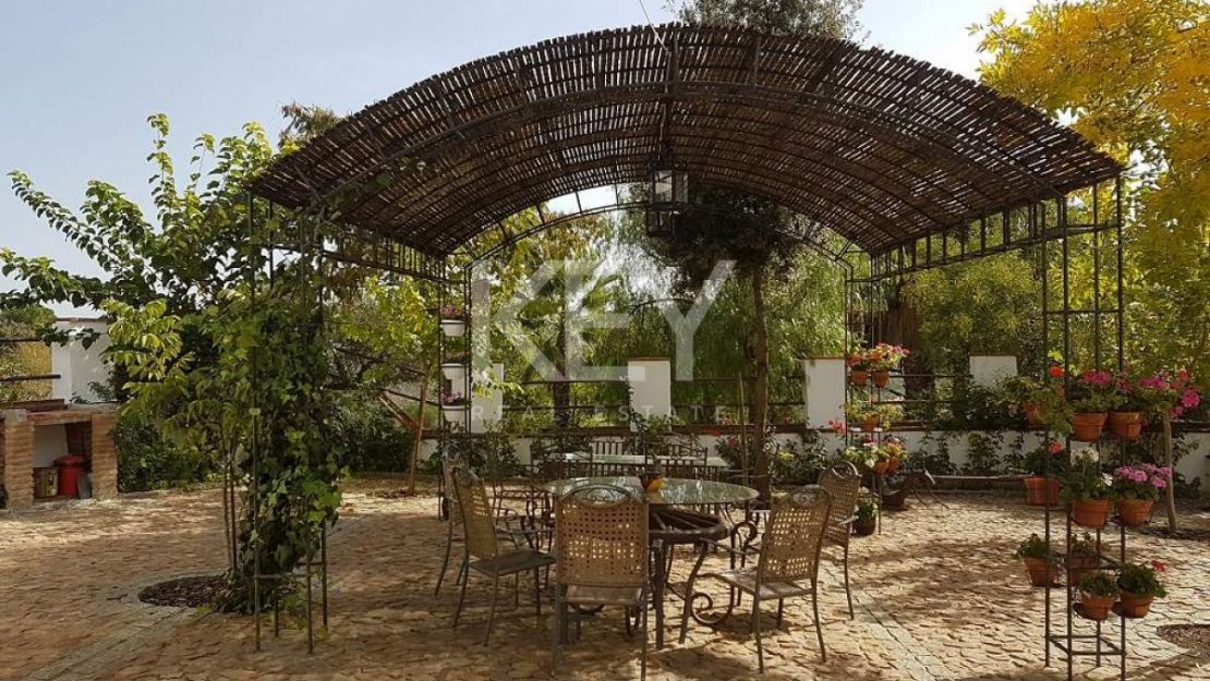 Единый участок площадью 230 га с оливками и охотничьими угодьями в Кордове