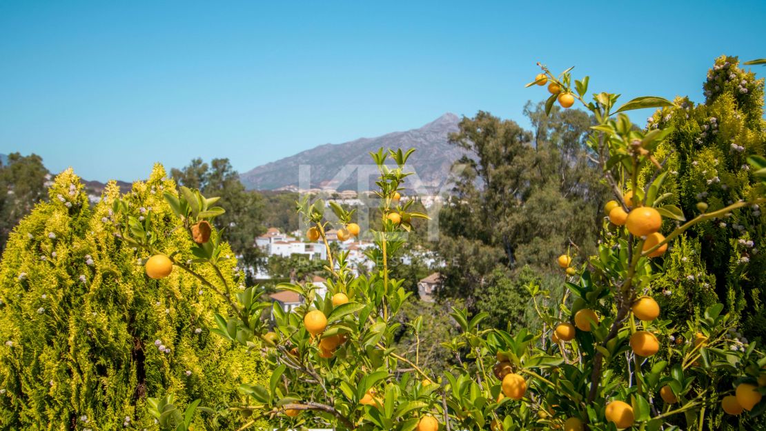 Stunning front line golf penthouse in Nueva Andalucia